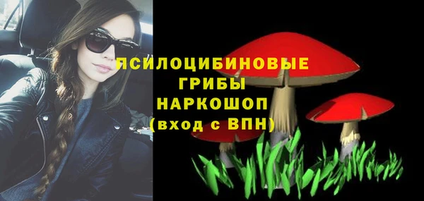 прущий лед Горно-Алтайск