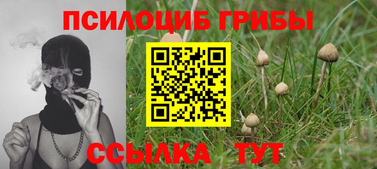 Псилоцибиновые грибы GOLDEN TEACHER  Вход с VPN  Мценск 