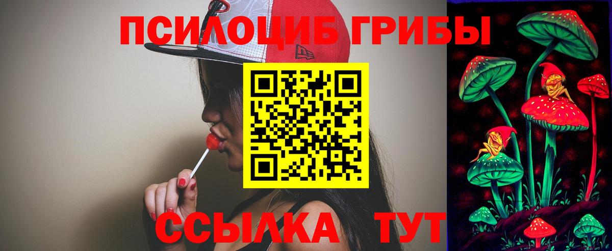 Галлюциногенные грибы Cubensis  даркнет сайт  Мценск  Псилоцибиновые грибы Cubensis 